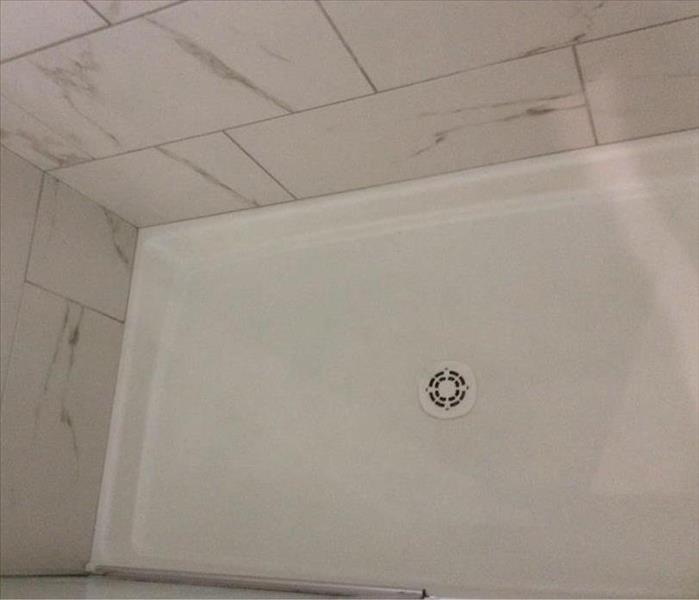 Cleaned Shower Stall in Cantonment, Florida
