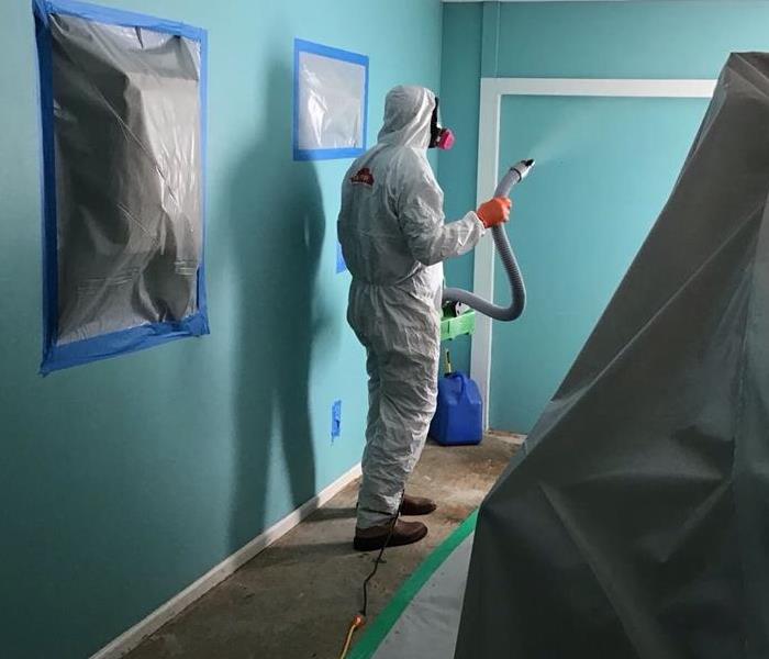 Man wearing PPE spraying a room for mold