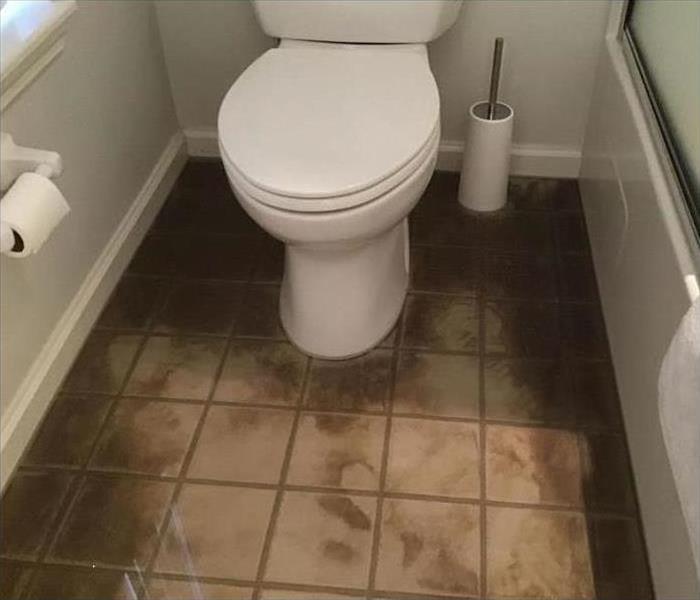 Toilet with standing water around it